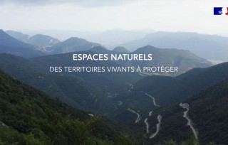 Preview of Natural spaces