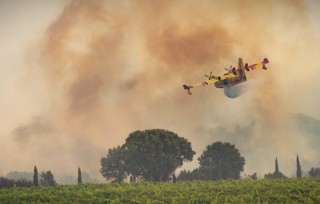 Preview of the race to climate