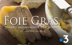 Affiche de Foie gras, enquête sur un produit d'exception